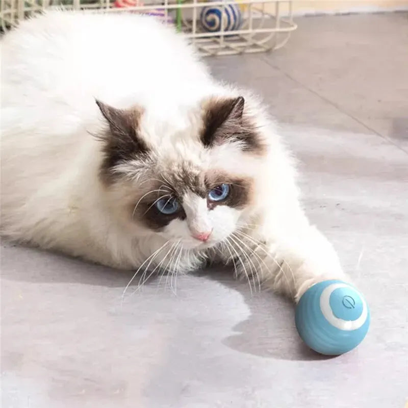 Interaktiver Katzenball – Selbstrollendes Spielzeug mit LED & USB-Aufladung