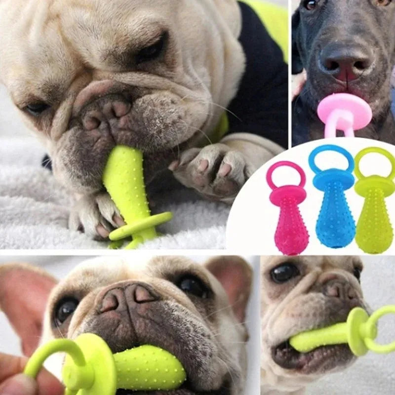 Kauspielzeug Set für Hunde – Gummi, robust & zahnpflegend