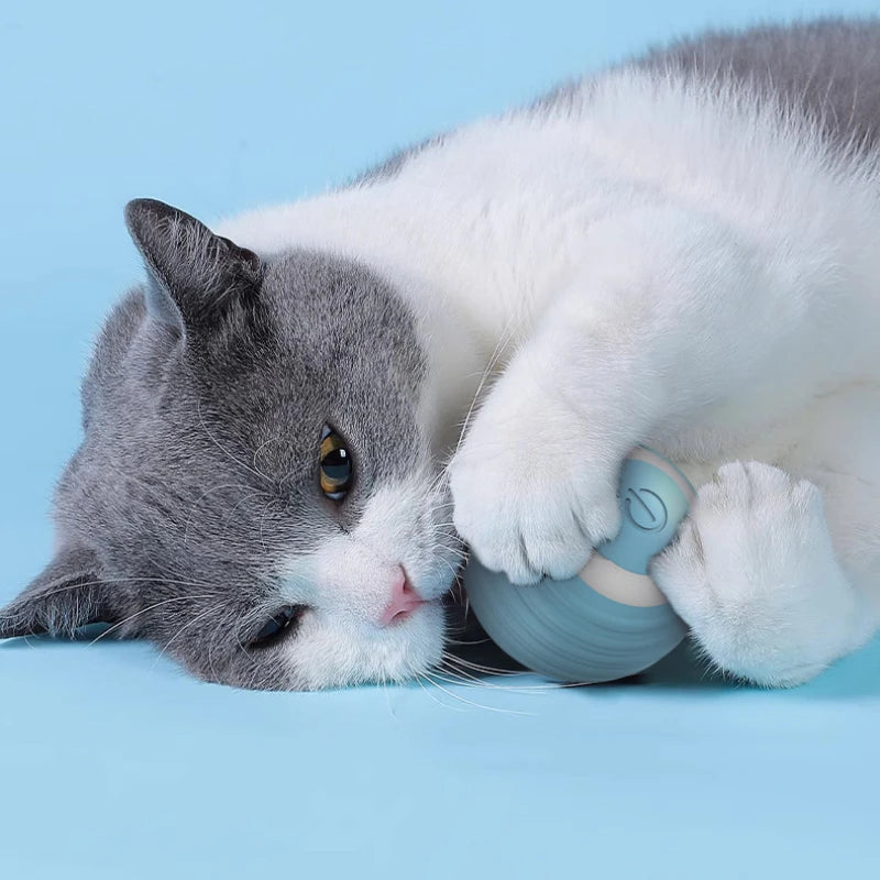 Interaktiver Katzenball – Selbstrollendes Spielzeug mit LED & USB-Aufladung