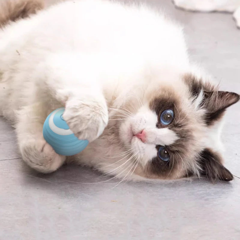 Interaktiver Katzenball – Selbstrollendes Spielzeug mit LED & USB-Aufladung