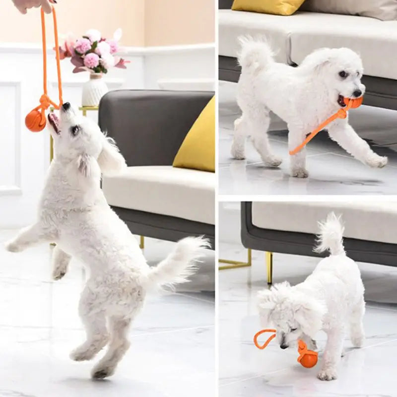 Reflektierender Hundeball mit Seil – Interaktives Spielzeug aus Gummi für große & kleine Hunde