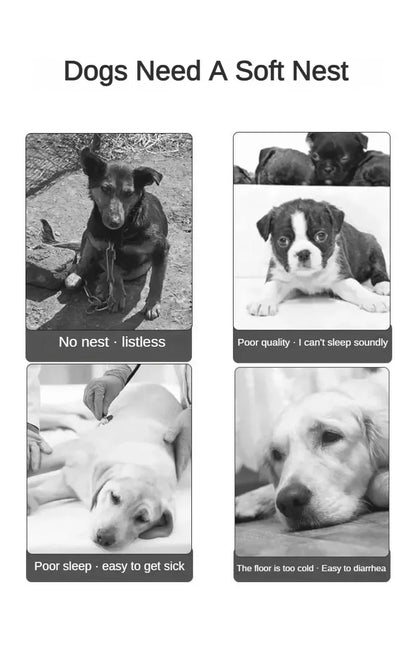 Hundebett mit erhöhtem Rand – orthopädisch, weich & waschbar